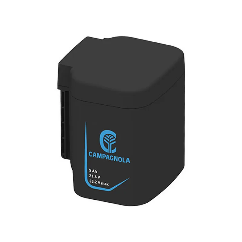 Batterie extra performance 21.6V 5Ah - CAMPAGNOLA
