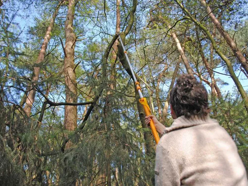Scie de jardin professionnelle sur perche télescopique en aluminum silky longboy 360 - perche de 3,60M