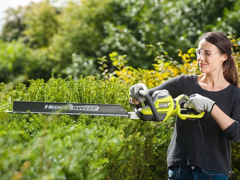 RYOBI RHT8165RL - Taille-haie électrique avec lame de 65 cm - 800W