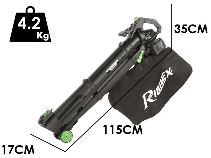 Ribimex PRBAT20-ASB1SB - Souffleur aspirateur à batterie 40 V 4 Ah