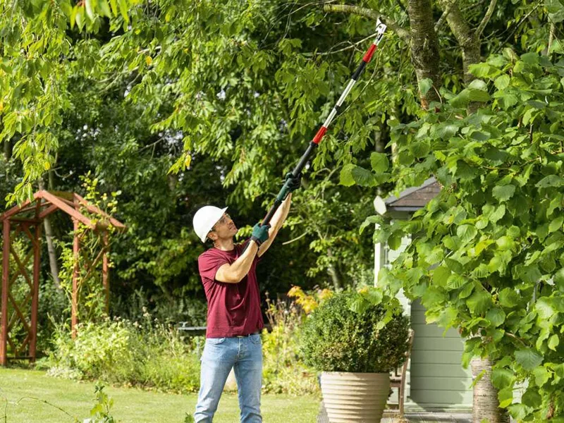 Bosch AdvancedPrune 18V-45 - Sécateur électrique de taille sur perche - Diamètre de coupe 45 mm