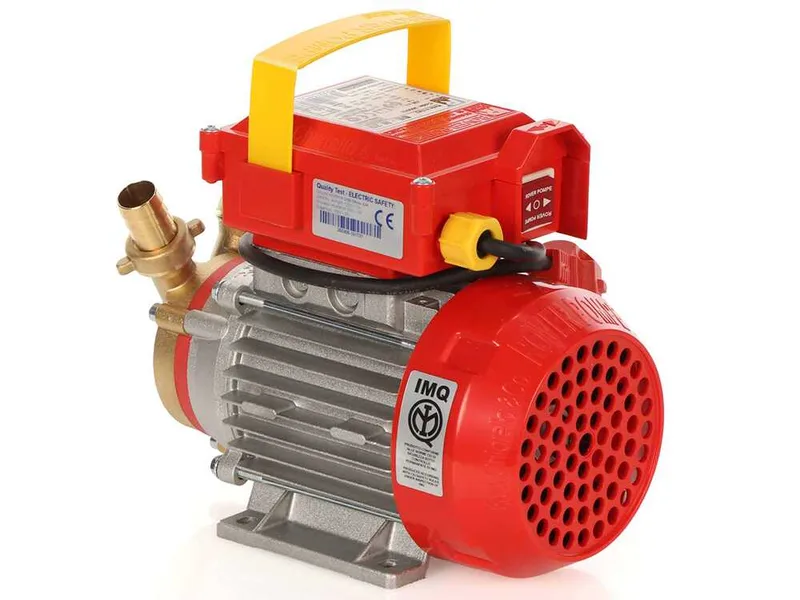 Rover BE-M 20 - Pompe électrique de transfert en bronze - Monophasée - 230 V