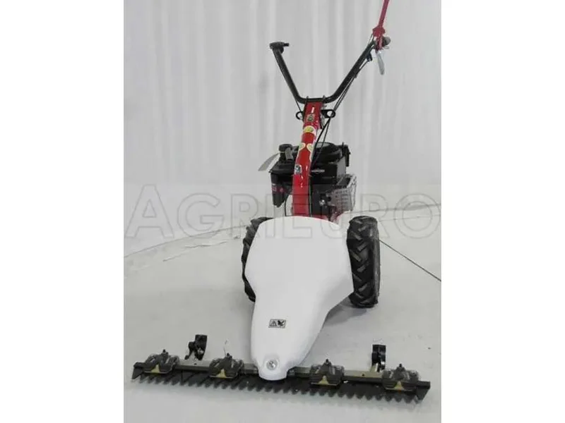 Eurosystems M210 - Motofaucheuse bilame - B&S 625
