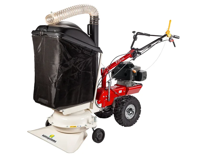 Eurosystems P70 EVO - Aspirateur à feuilles thermique - Loncin 224 OHV
