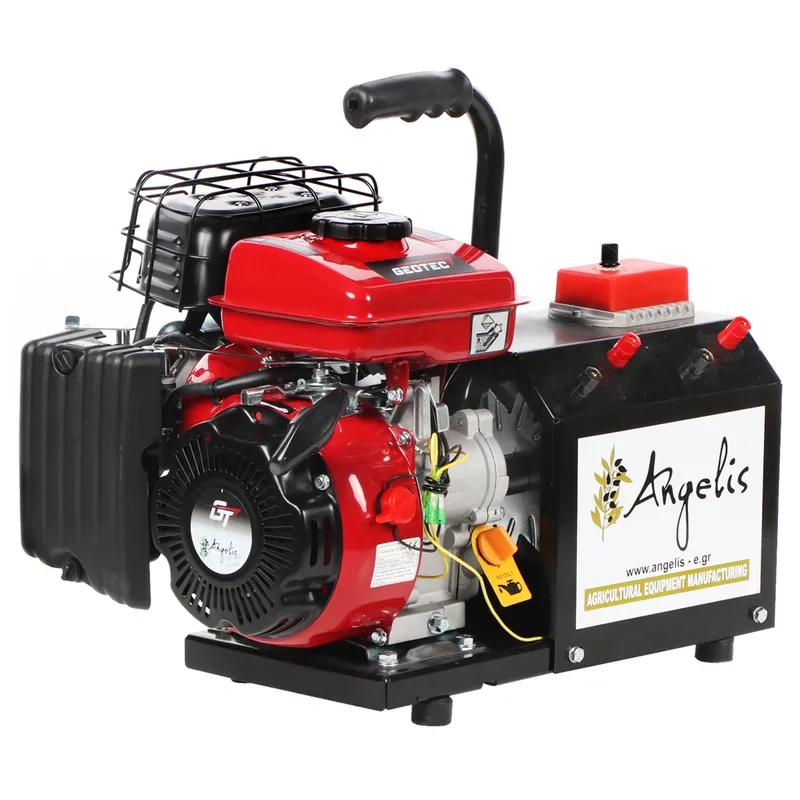 Agrieuro Premium Angelis - Groupe électrogène portable 12/22V