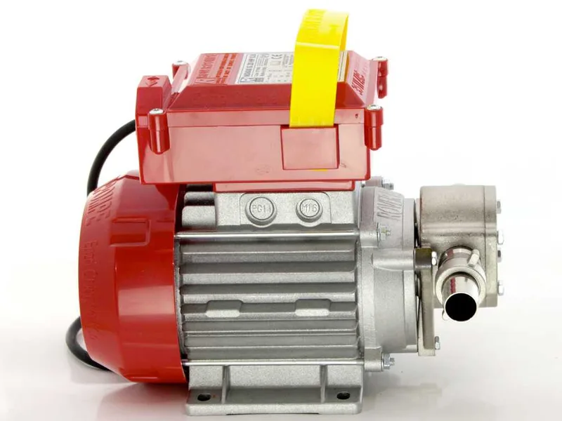 Rover Novax G 20 – Pompe électrique de transfert d’huile à engrenages en alliage anticorrosion – 0,6 CV