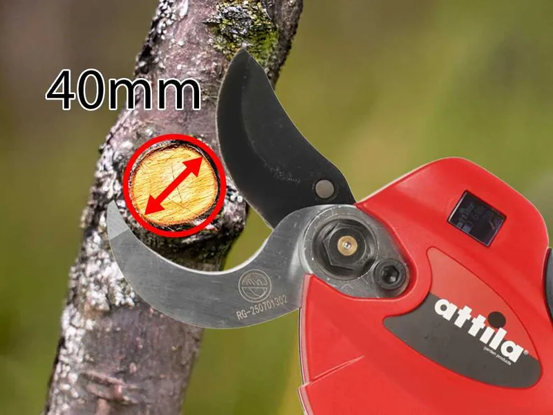 Attila ATF 18.40 LI - Sécateur de taille électrique - 2 x 18 V / 2.0 Ah - Diamètre de coupe 40 mm