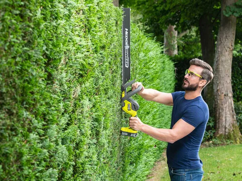 Ryobi RY18HT55A-120 - Taille-haie à batterie 18 V/2 Ah - Lame de 55 cm