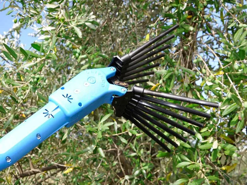 Lisam Oliveco - Peigne vibreur électrique à batterie - Avec dents en Nylon - 230-330 cm - Perche télescopique