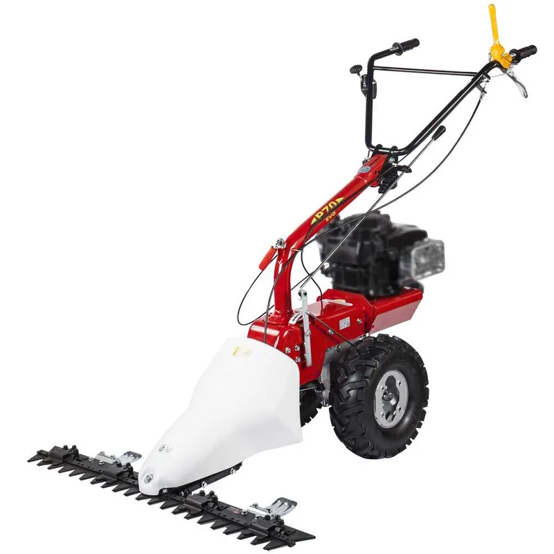 Eurosystems P70 EVO - Motofaucheuse multifonction bilame - B&S 850E I/C