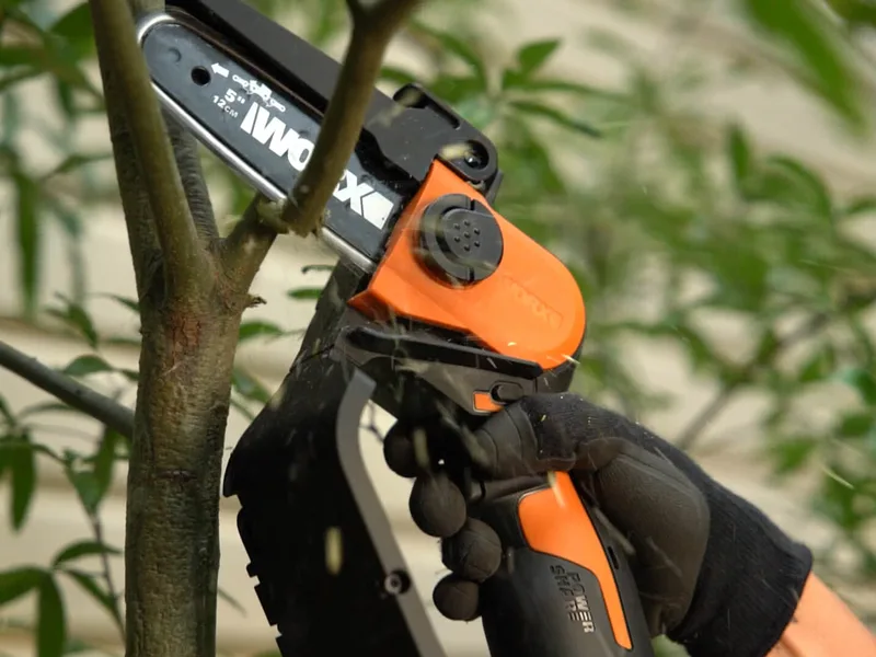 Worx WG324E - Élagueuse sur batterie 20 V 2 Ah