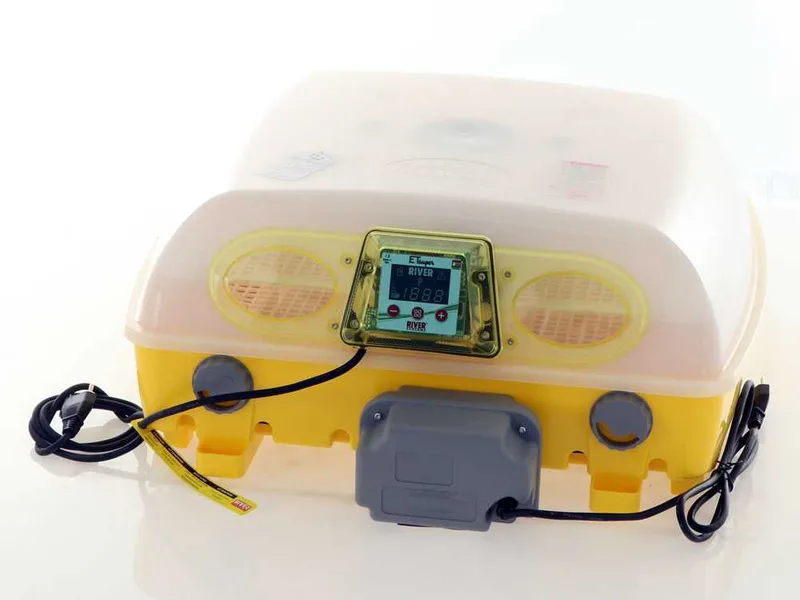 River Systems et 49 super biomaster - Couveuse à œufs automatique - 49 œufs