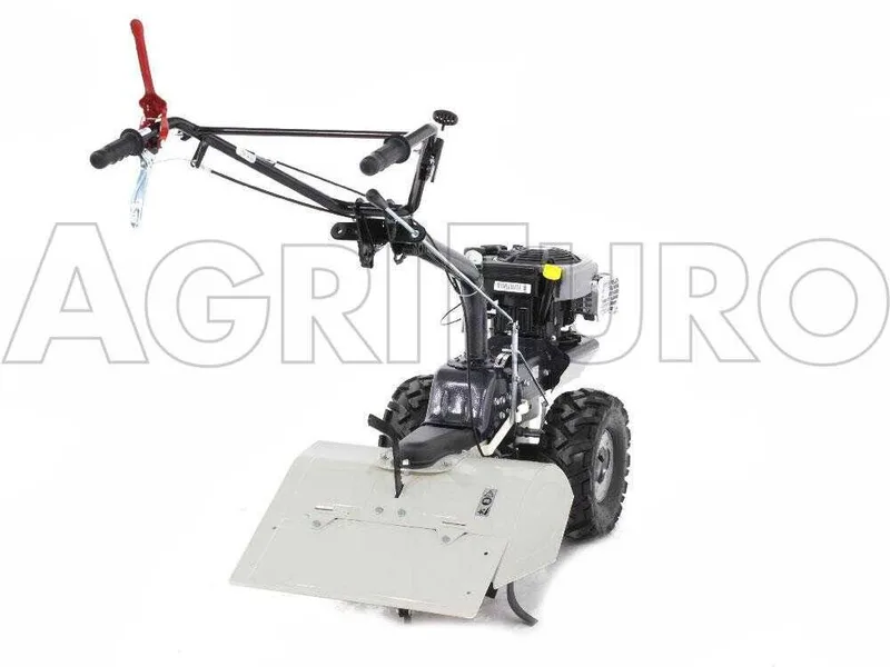 Eurosystems TM 70 RB EVO - Motoculteur à essence - Briggs&Stratton 850E I/C