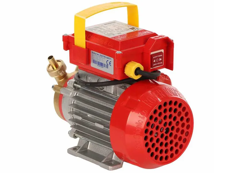 Rover BE-M 10 - Pompe électrique de transfert en bronze - Monophasée - 230 V