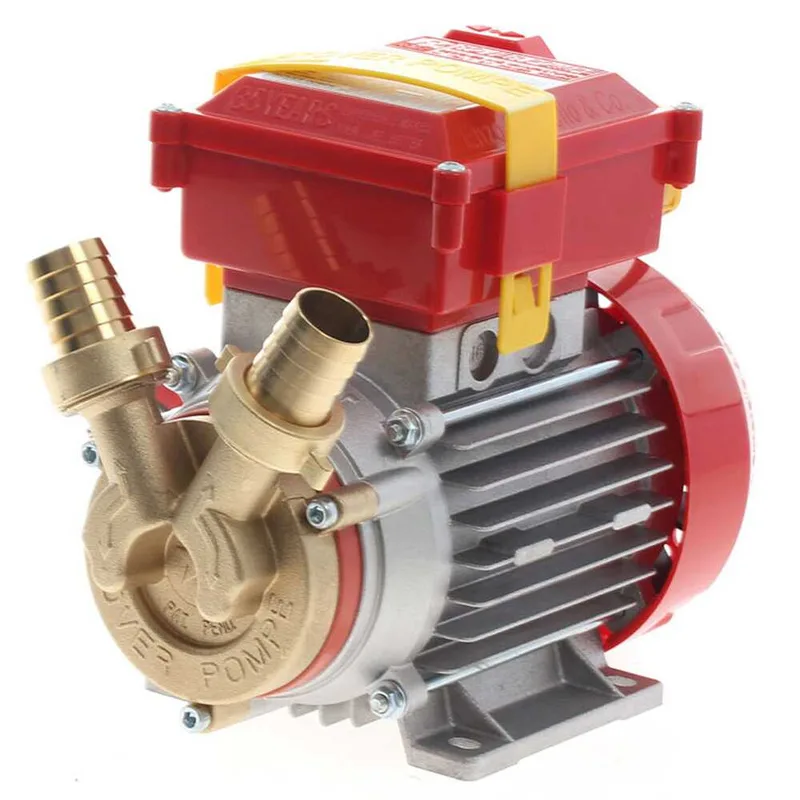 Rover 25 CE - Pompe électrique de transfert en bronze - Monophasée - 230V