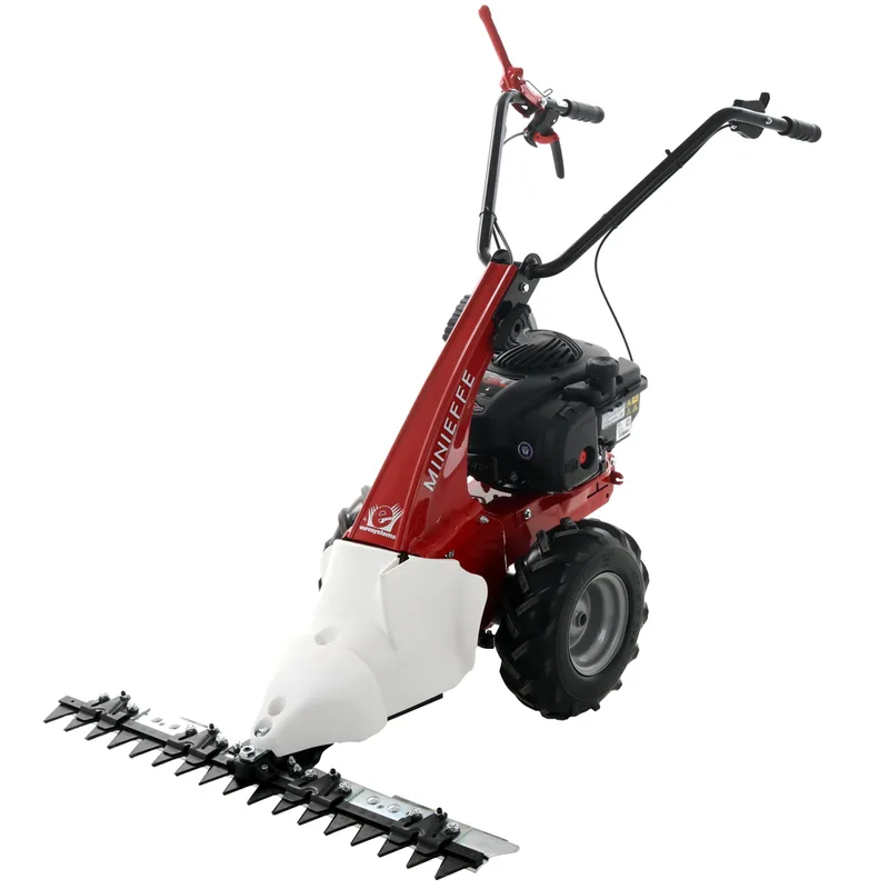 Eurosystems Minieffe - Motofaucheuse multifonction - B&S 450E