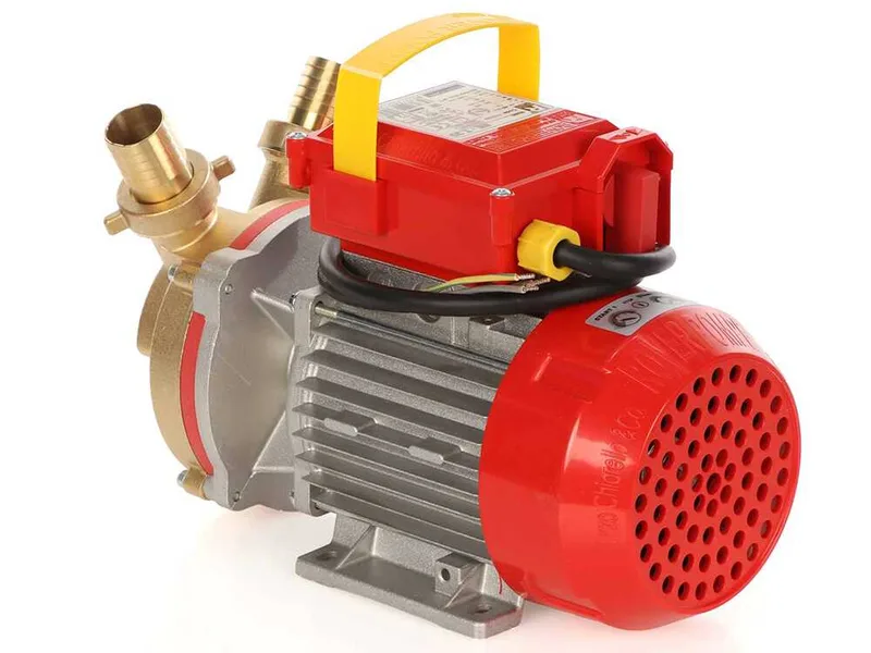 Rover BE-T 30 - Pompe électrique de transfert en bronze - Triphasée - 400 V