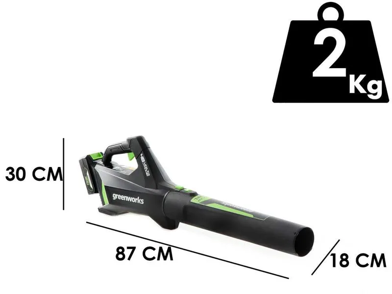 Greenworks G48AB - Souffleur axial à batterie 48 V 2 Ah