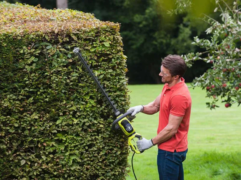 Ryobi RHT6160RS - Taille-haie électrique avec lame de 60 cm - 600W