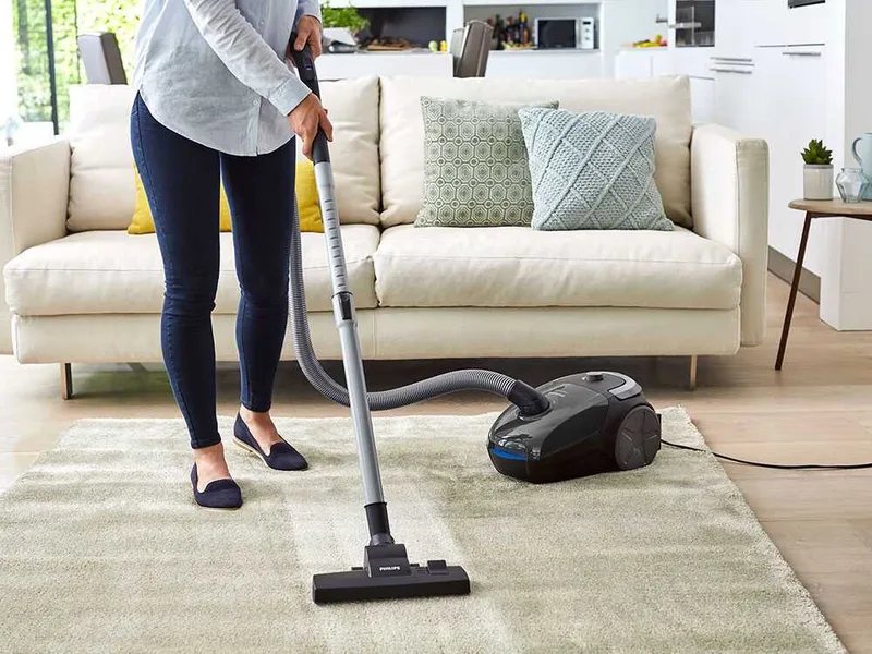 Philips PowerGO gris FC8244/09 - Aspirateur traîneau - Avec sac de 3 L - 900 W