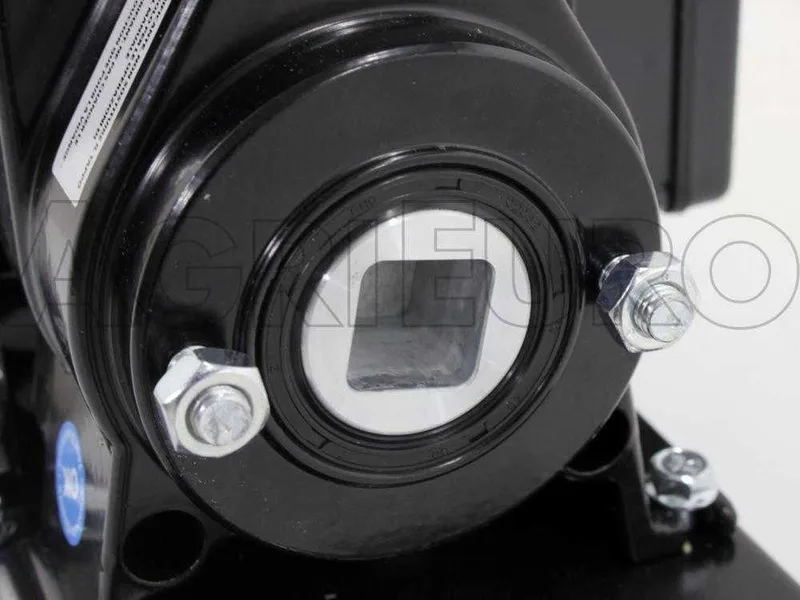 Reber 9060N INOX - Extrudeuse - Machine à pâtes avec moteur électrique à induction professionnel 600W
