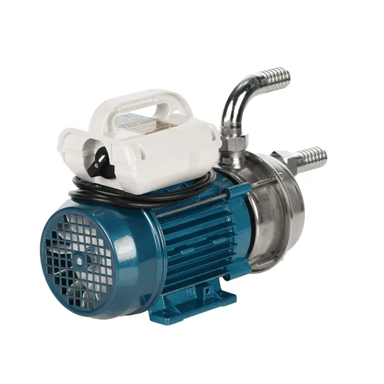 Tellarini ALM 25 - Pompe électrique de transfert pour huile en acier inox - Raccords INOX droits + courbés - Choisissez vos raccords