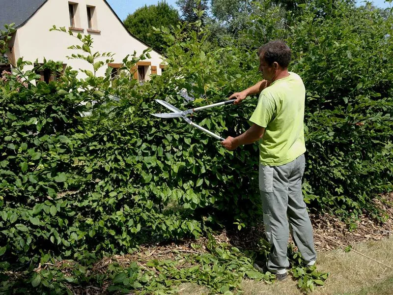 Bahco P51H-SL - Cisaille taille-haie à longs manches