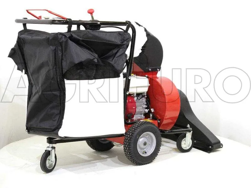 Benassi AF200SL - Aspirateur à feuilles thermique autotracté - Honda GX200