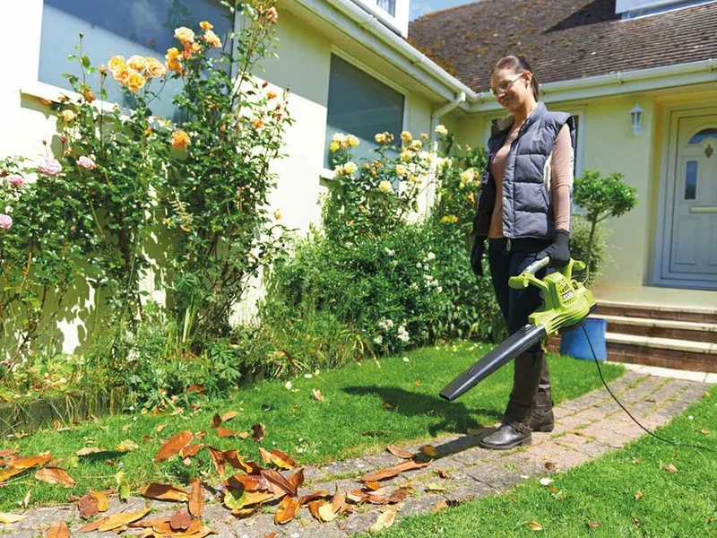RYOBI RBV3000CSV - Souffleur - aspirateur - broyeur électrique