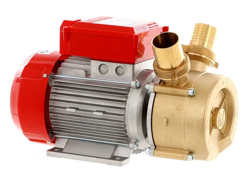 Rover BE-M 50 - Pompe électrique de transfert en bronze - Monophasée - 230 V
