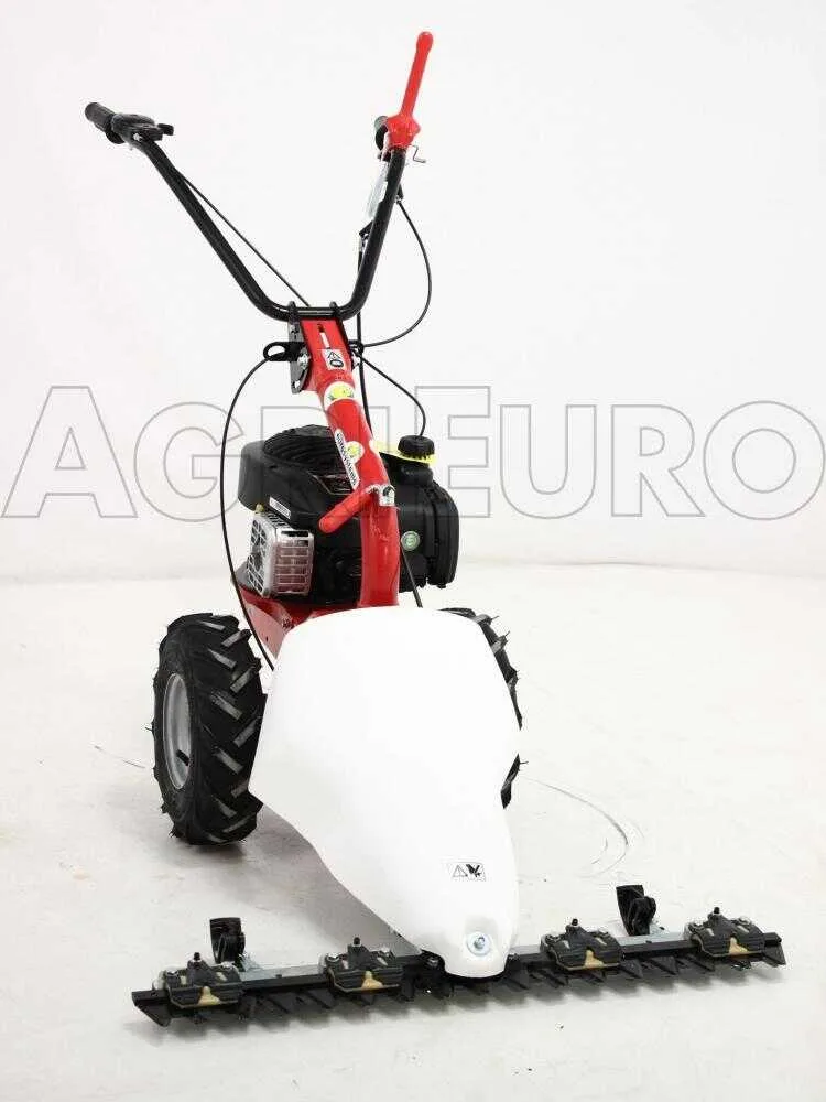 Eurosystems M210 - Motofaucheuse bilame - B&S 450E