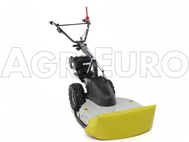 Eurosystems TM 70 RB EVO - Tondeuse débroussailleuse thermique - Lame - B&S 850E I/C