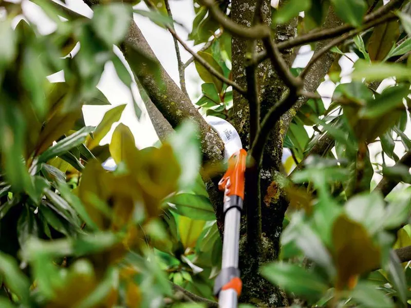 Scie de jardin Stocker Sirkos 330 TC avec manche télescopique 225-380 cm
