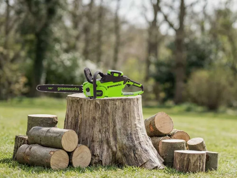 Greenworks CS40O6 - Tronçonneuse à batterie 60 V 4 Ah - Guide de 40 cm
