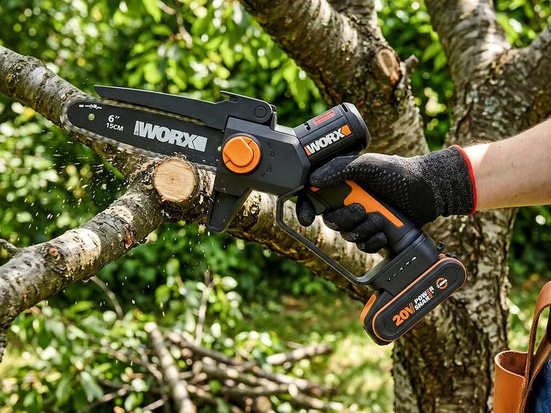 Worx WG327E - Élagueuse sur batterie + perche de rallonge de 125 cm - 20 V 2 Ah