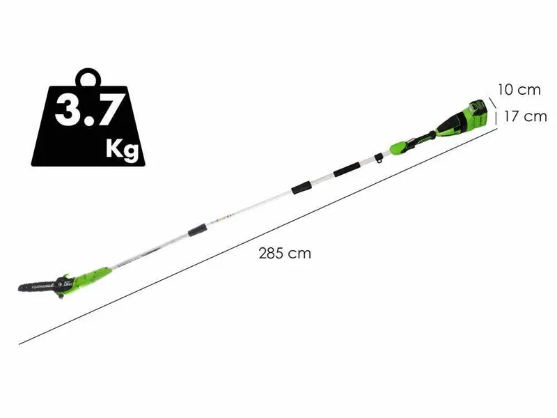 Greenworks GD40PSH - Élagueuse - Taille-haie sur perche de rallonge