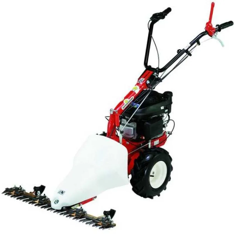 Eurosystems M210 - Motofaucheuse bilame - B&S 625