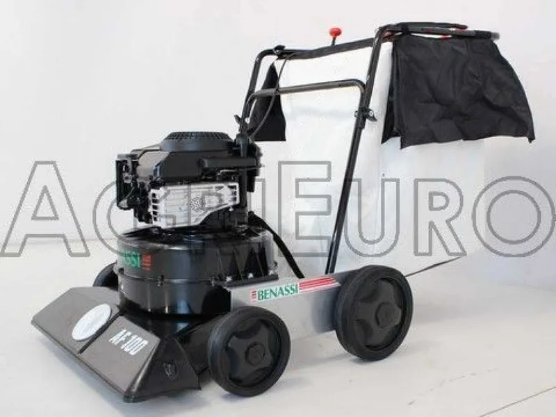 Benassi AF 100 - Aspirateur à feuilles sur roues à poussée manuelle - B&S 675 EXi