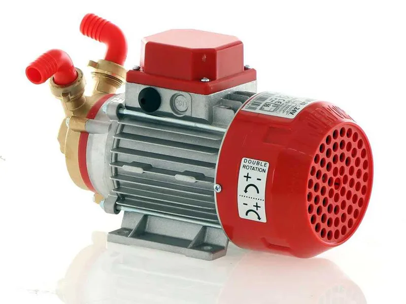 Rover Marina 20 - Pompe électrique de transfert en bronze - 24 V
