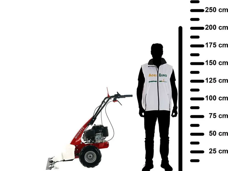 Eurosystem Minieffe - Motofaucheuse multifonction - Loncin L200 OHV