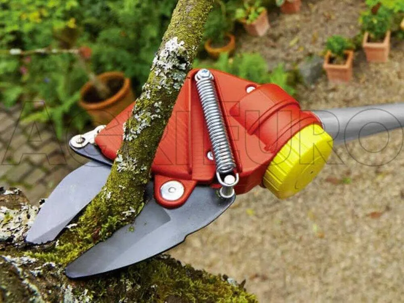 Wolf Garten RR 200 - Coupe-branches professionnel - Perche de rallonge de 200 cm - Ø 32 mm