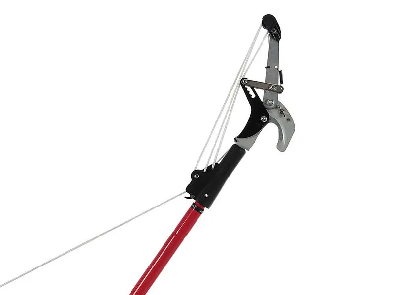 Ausonia - Échenilloir sur perche, coupe à cliquet + scie sur perche télescopique de 170-310 cm