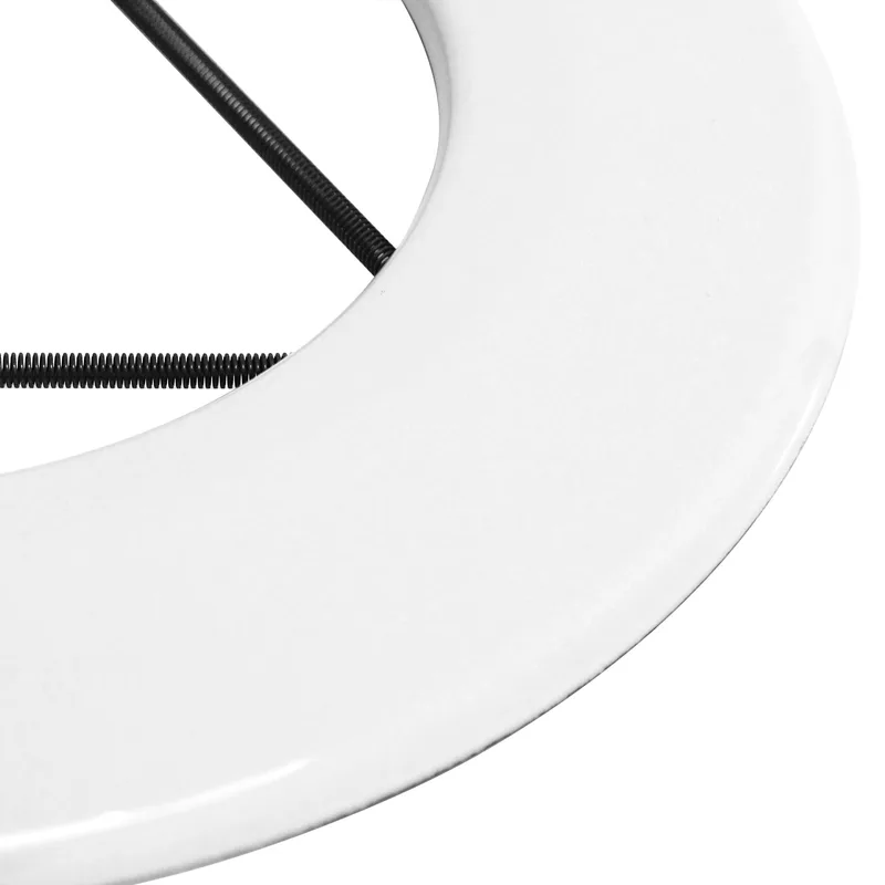 Raik Tuyau de Fumée / Tuyau de Poêle Émaillé 120mm - Rosace Murale avec Ressort Blanc