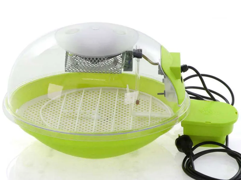 FIEM Smart Digitale 24 Verde - Couveuse à œufs automatique - 24 œufs