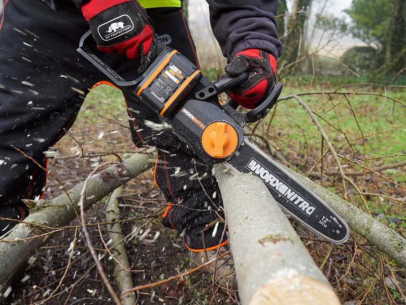 Worx Nitro WG350E.9 - Tronçonneuse à batterie 20 V