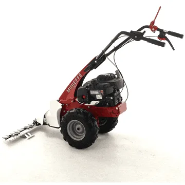 Eurosystems Minieffe - Motofaucheuse multifonction - B&S 450E