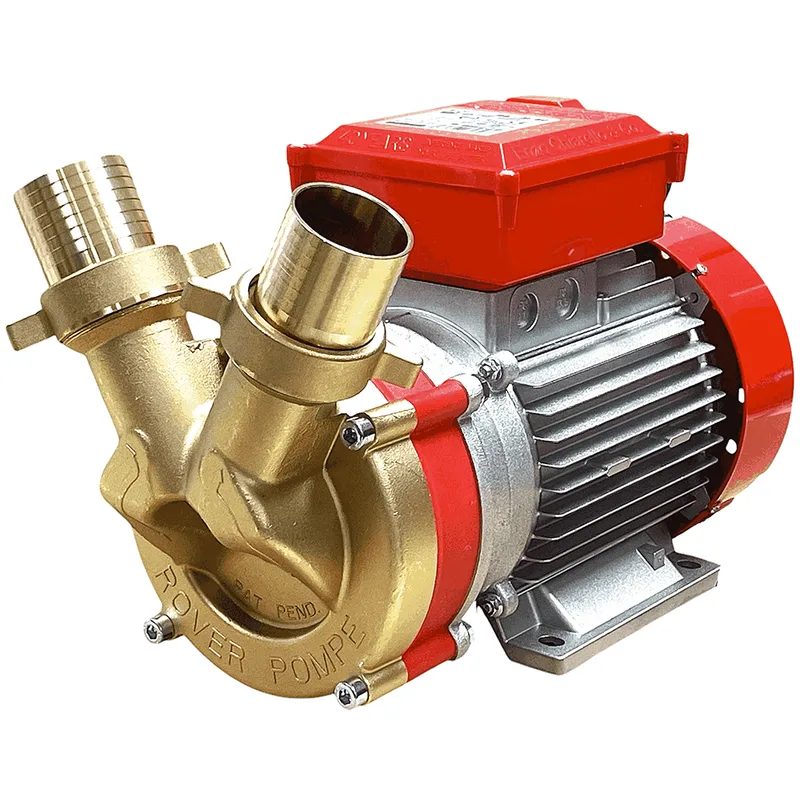 Rover BE-T 50 - Pompe électrique de transfert en bronze - Triphasée - 400 V