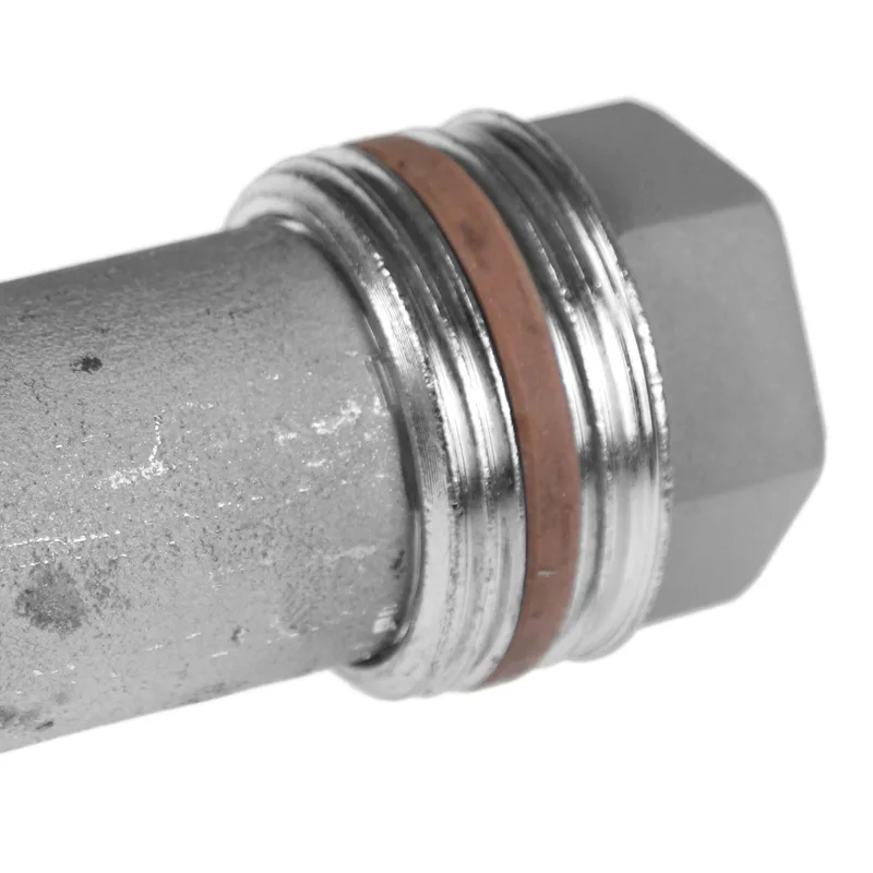 Anode en magnésium 500 mm, 3/4 pouce pour ballon d'eau chaude sanitaire et ballon combiné