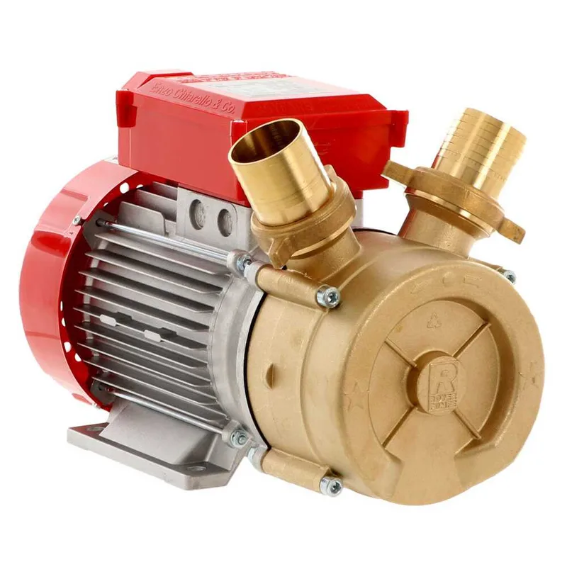 Rover BE-M 50 - Pompe électrique de transfert en bronze - Monophasée - 230 V