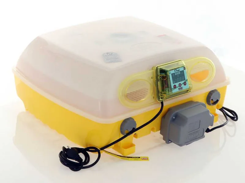River Systems et 49 super biomaster - Couveuse à œufs automatique - 49 œufs